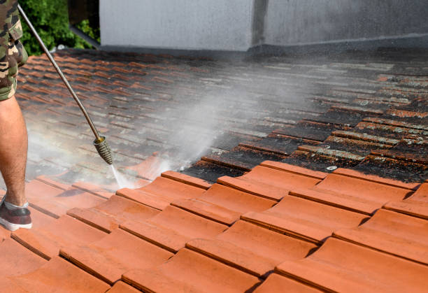 Best Deck Cleaning Services  in Oglala, SD
