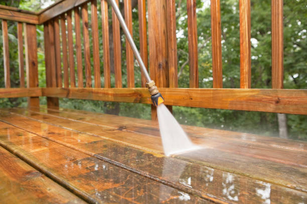 Best Roof Pressure Washing  in Oglala, SD
